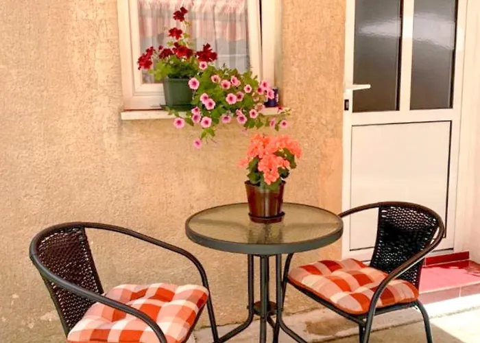 Sara Center No1 Pula