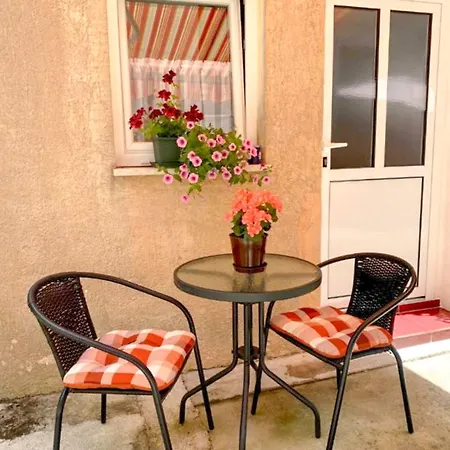 Sara Center No1 Póla